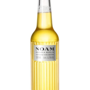 Noam Beer