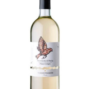 Pinot Grigio Terre Passeri