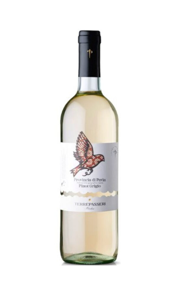 Pinot Grigio Terre Passeri