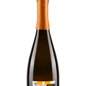 Michele Gleni Prosecco