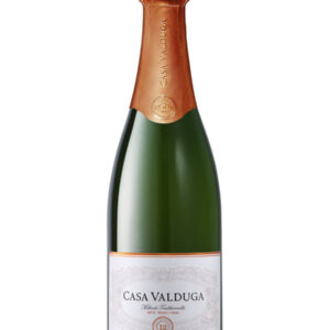 Arte Brut Casa Valduga 2021