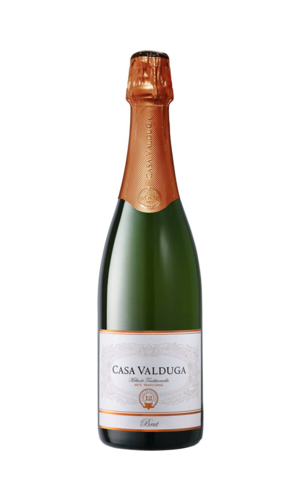 Arte Brut Casa Valduga 2021