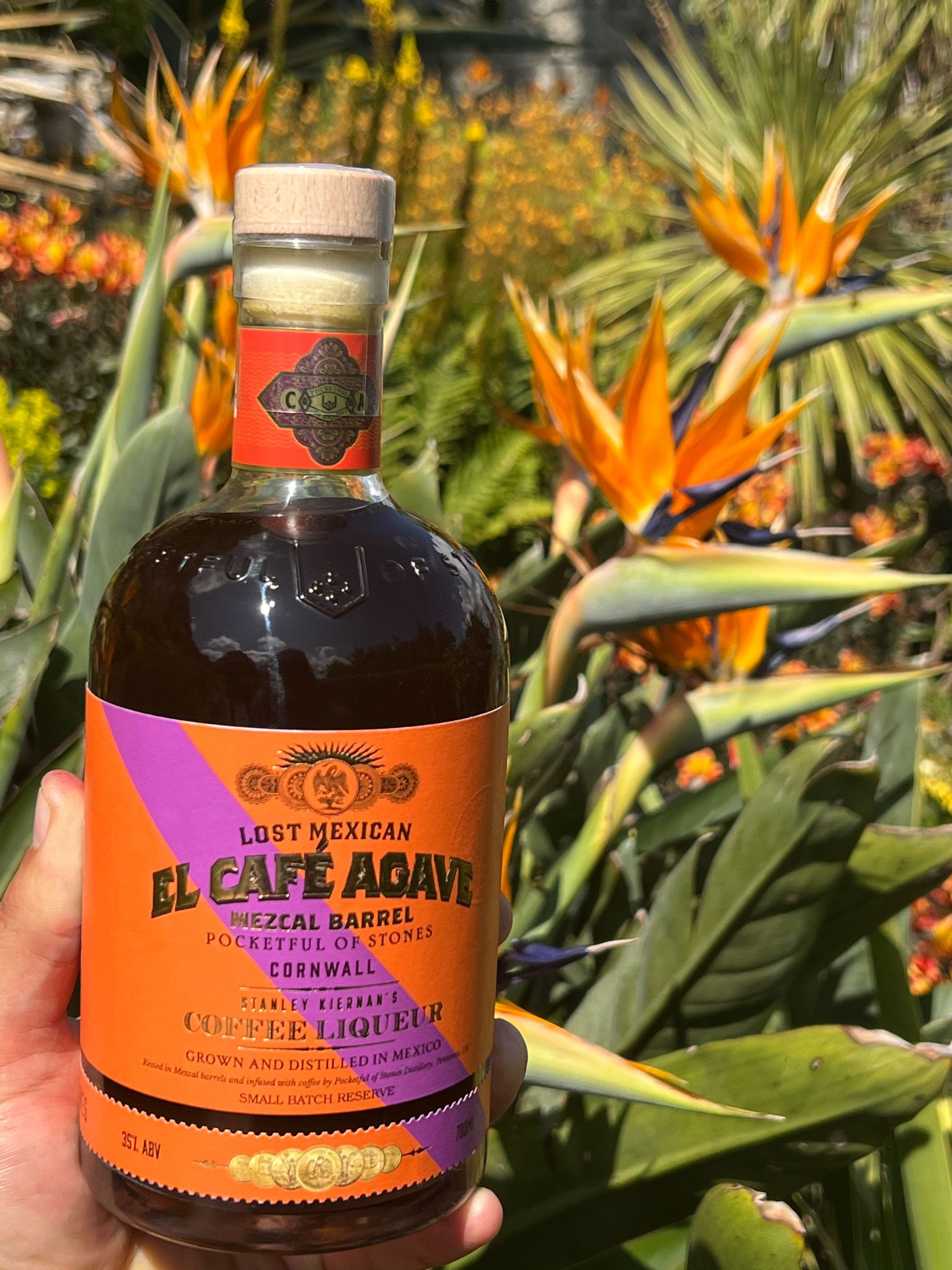 Pocket Full of Stones: Lost Mexican – Cafe Agave 70cl